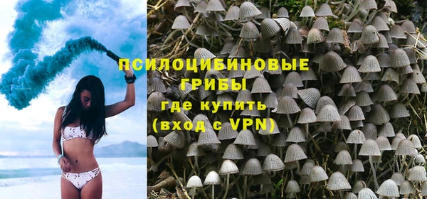 apvp Бугульма