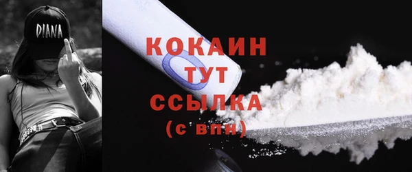 mdpv Бородино