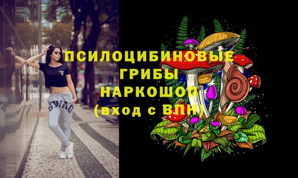 дурь Бронницы