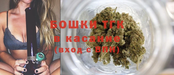 mdpv Бородино
