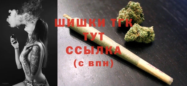 дурь Бронницы