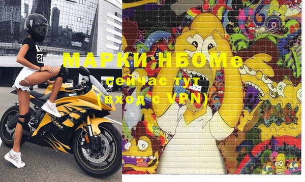 mdpv Бородино