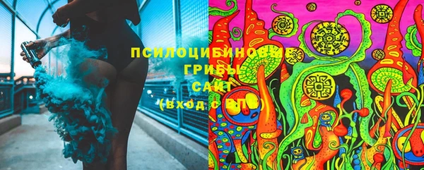 mdpv Бородино